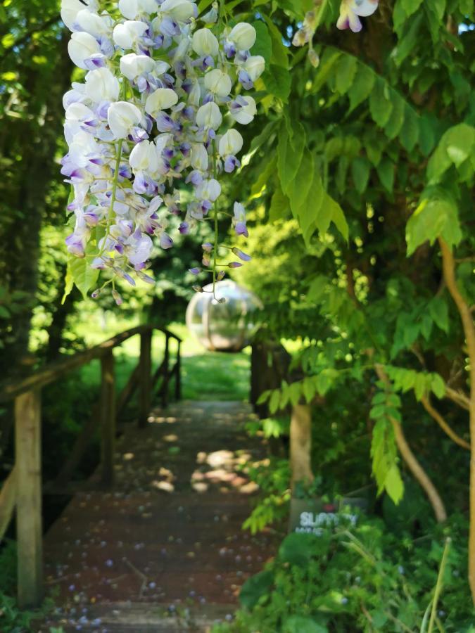 Rose In Vale Country House Hotel St Agnes  Exterior foto